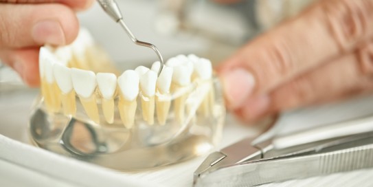 Keramik: Natürlich schön